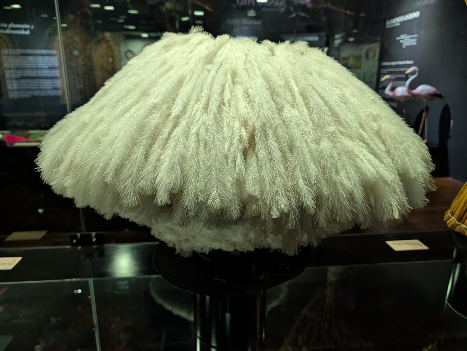 The feather hall next door. A headdress of white plumes.