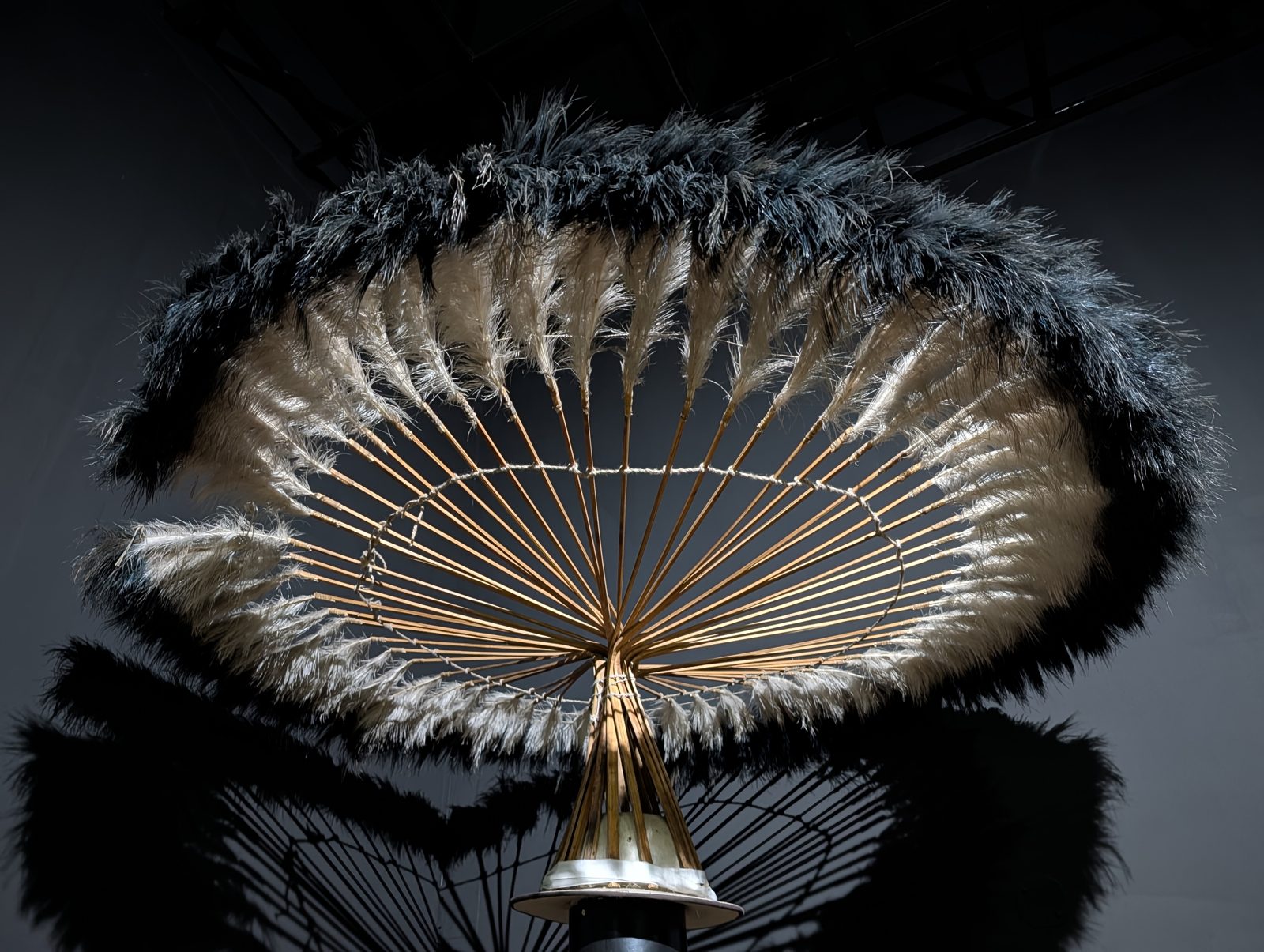 A fan of black and white, lit from below.