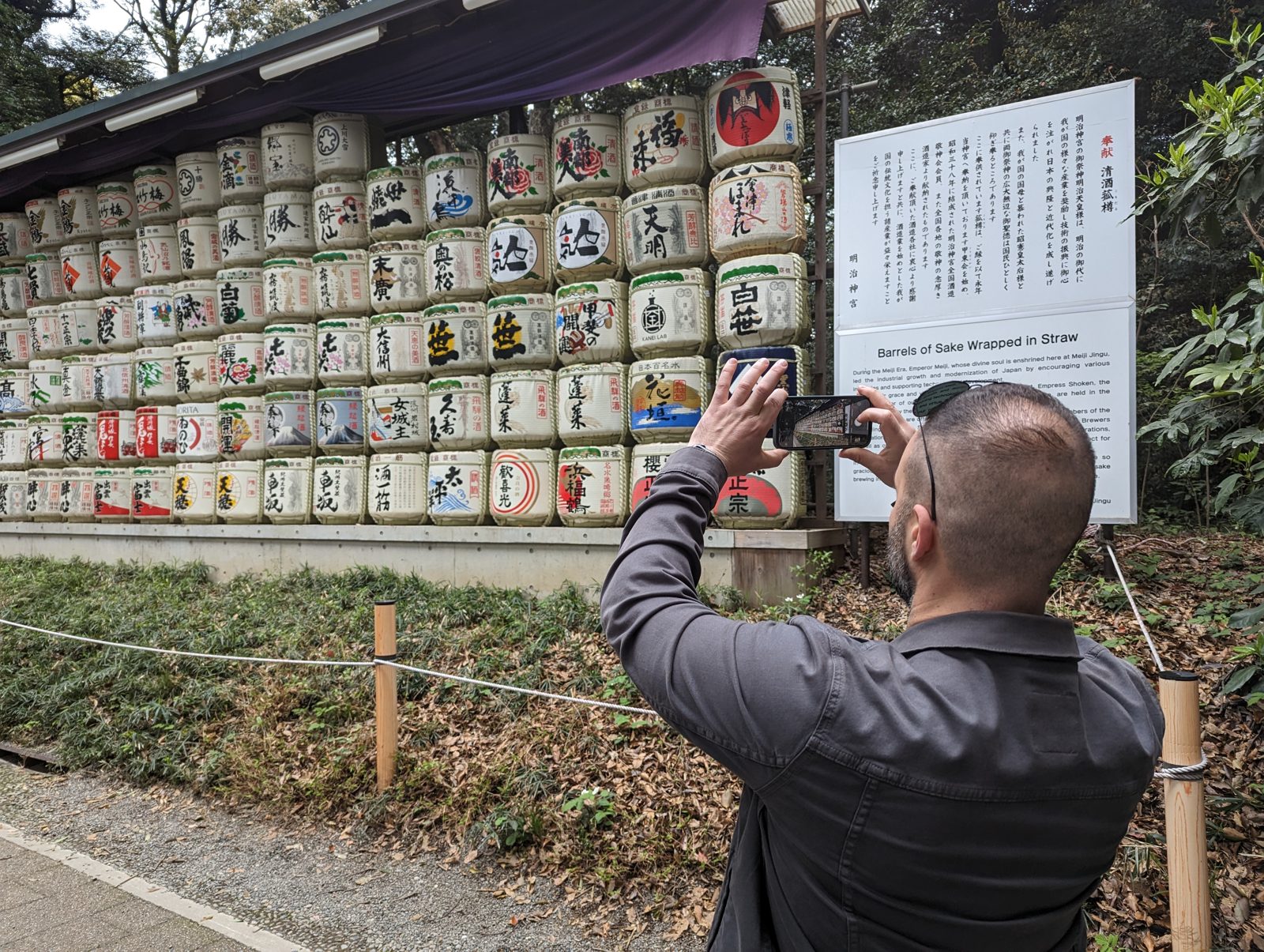 Ari reading up on the sake barrels at Meiji Shrine: donations from breweries all over Japan, wrapped in straw.