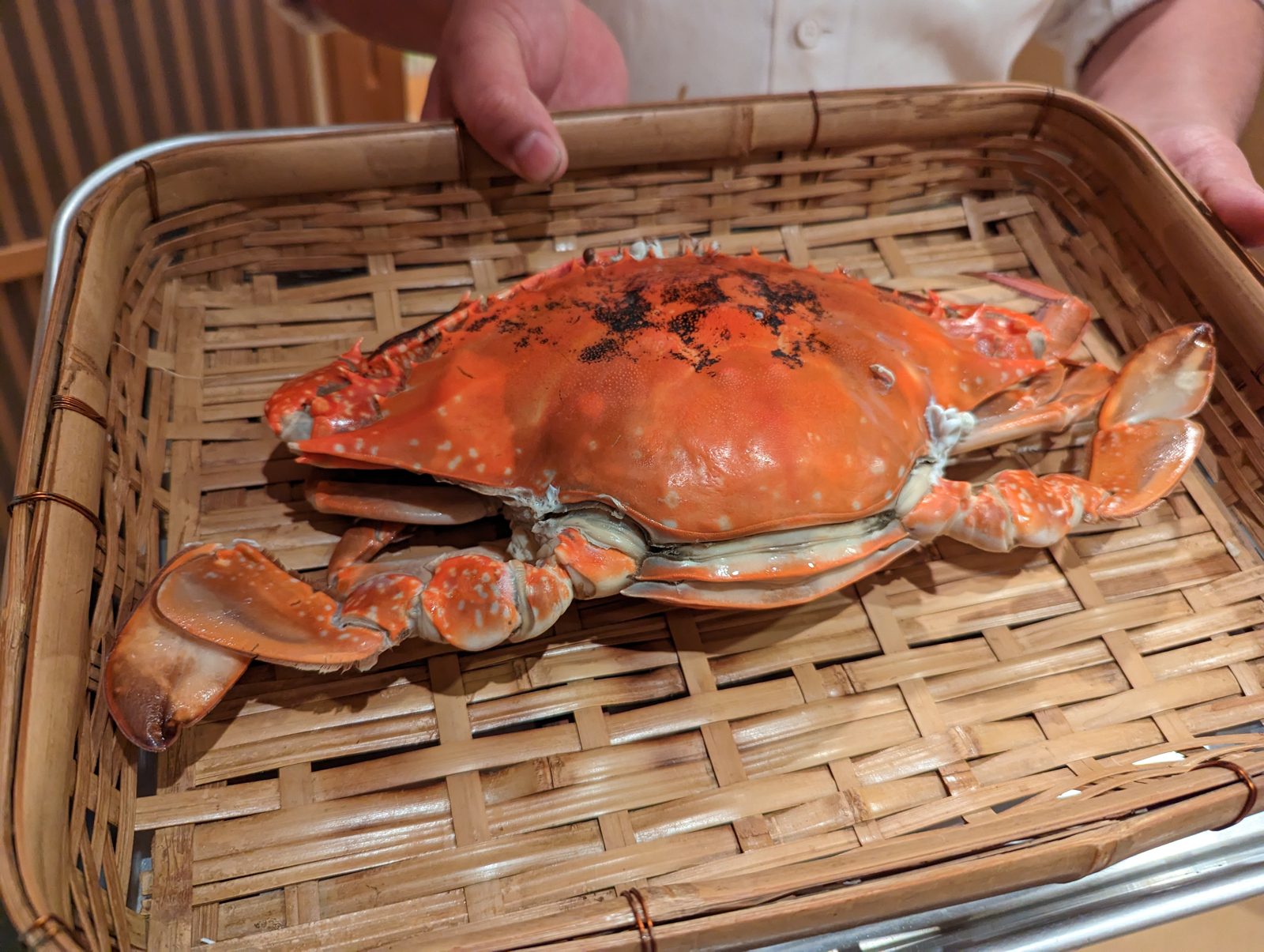 The crab, steamed.